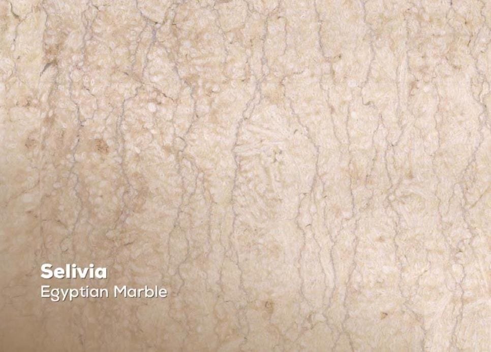 whatsapp image 2025 11 25 at 16.53.48 (1)