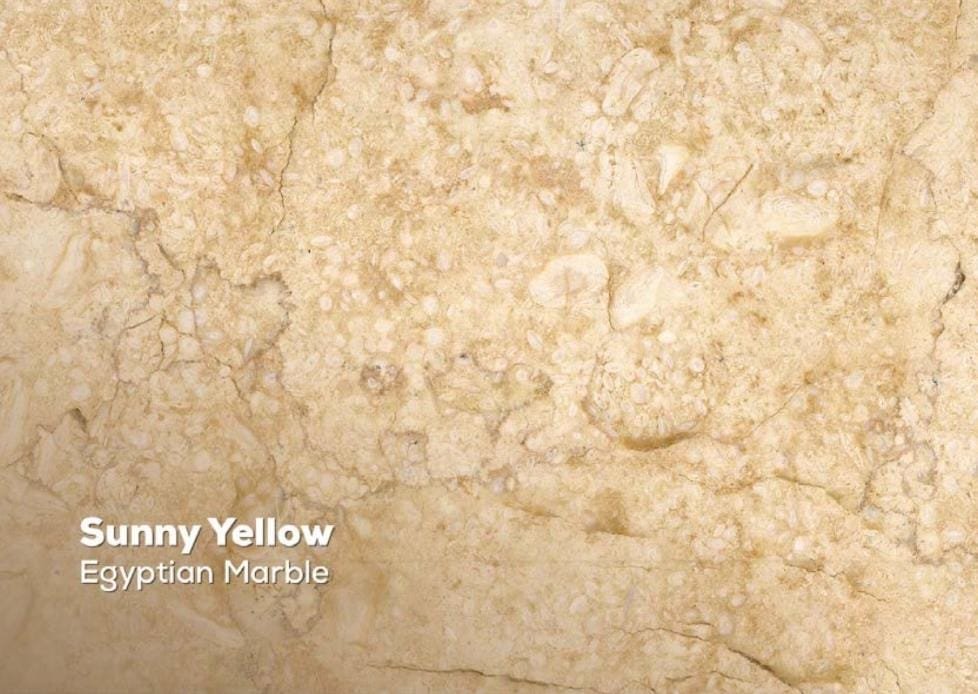 whatsapp image 2025 11 25 at 16.53.48 (10)