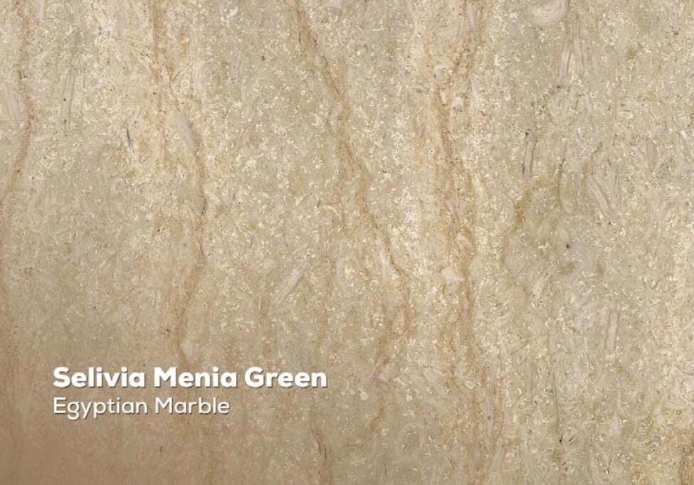 whatsapp image 2025 11 25 at 16.53.48 (2)