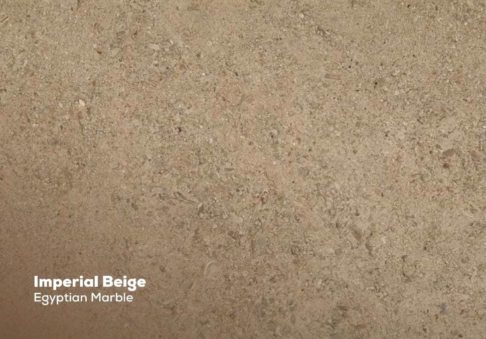 whatsapp image 2025 11 25 at 16.53.49 (1)